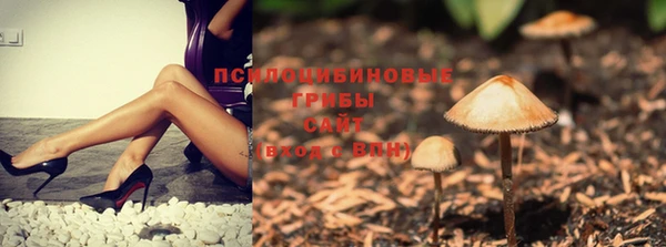2c-b Алексеевка