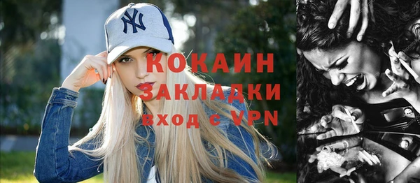 apvp Алзамай