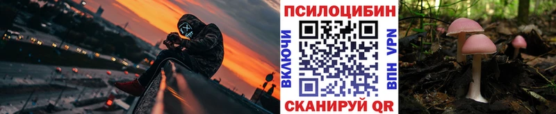 omg   где купить наркоту  Кореновск  Псилоцибиновые грибы Cubensis 